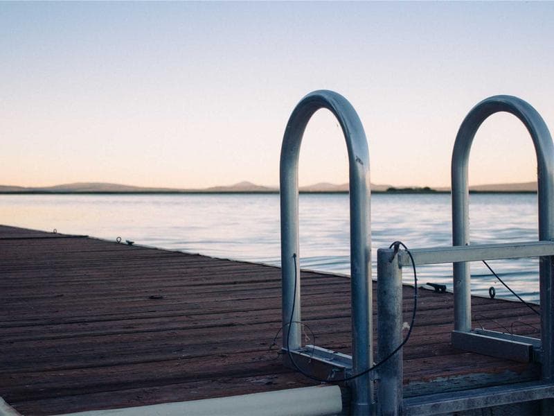 Agri (Pulses, Grains & Legumes)