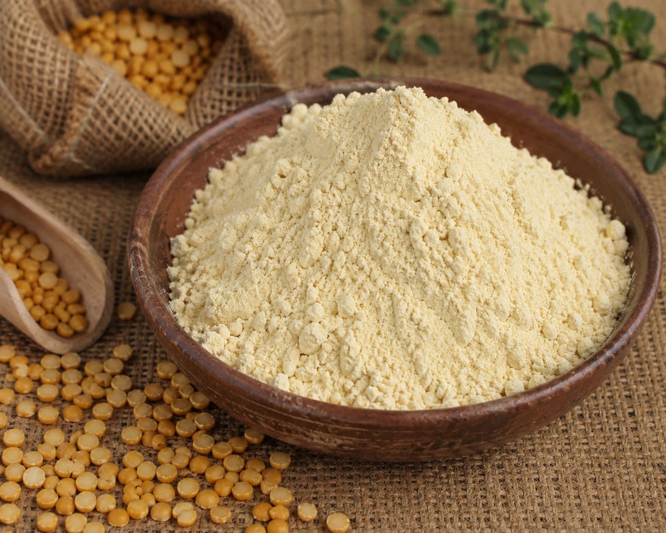 Red Gram Flour (Toor Flour)